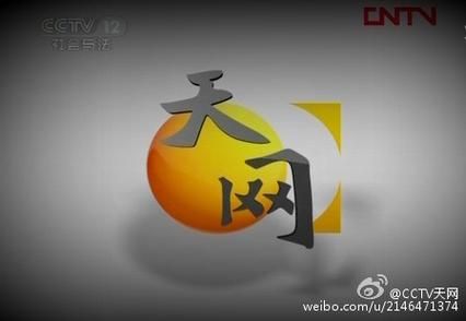 2011央视天网全集 天网2011央视网