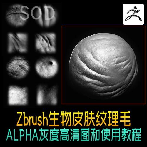 zbrush 官方alpha全集 zbrush的alpha使用