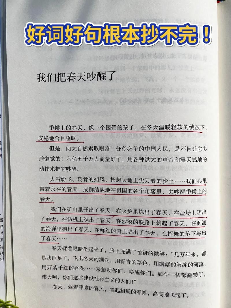 春天17个瞬间全集播放 春天十七个瞬间第2集