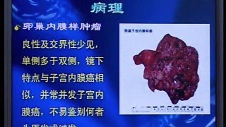 妇科全集视频迅雷下载 妇科医院视频下载