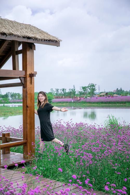 花开半夏30全集下载 花开半夏免费下载