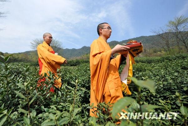 海涛法师弘法集锦全集 海涛法法师讲法视频