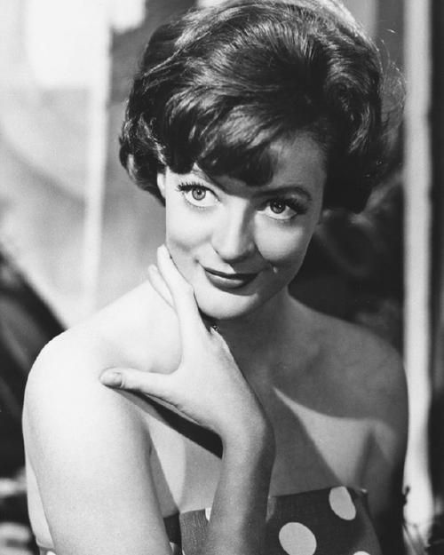 哈利波特 magnet 哈利波特 maggie smith