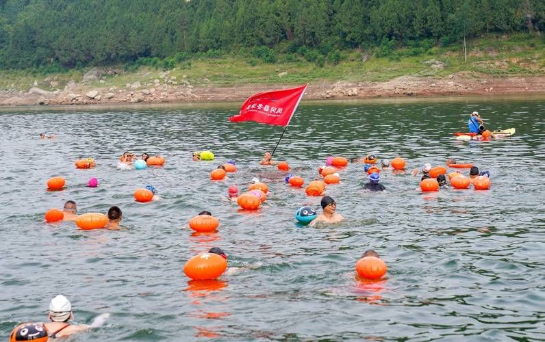 河中探秘2017年全集 河中探秘全集国语