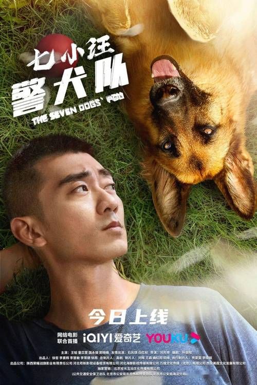 警犬电影最佳拍档全集 播放警犬系列电视剧