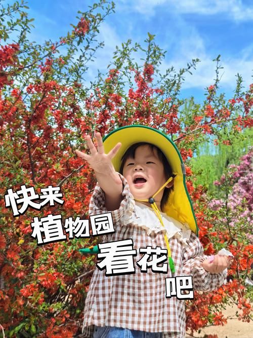 可爱花园宝宝视频全集 可爱花园宝宝视频全集下载