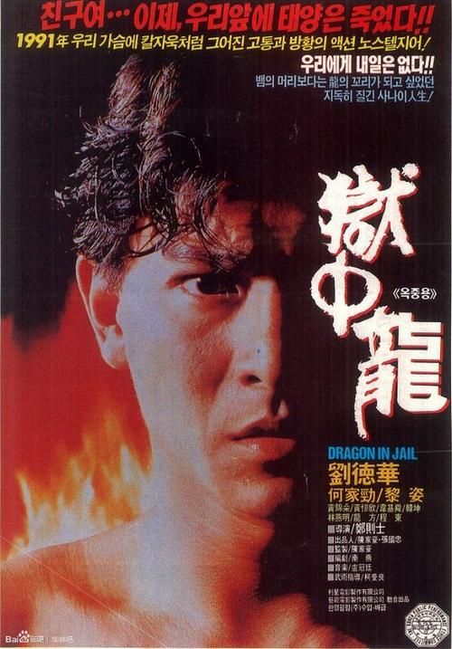 刘德华电影全集1987 刘德华电影全集在线观看龙