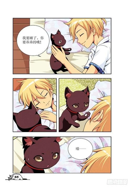 猫的诱惑漫画免费阅读 猫的诱惑漫画版 下拉式