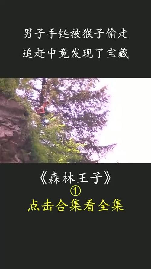 森林泰山免费完整全集 森林泰山电影国语版免费