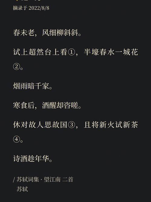 苏轼词全集赏析txt