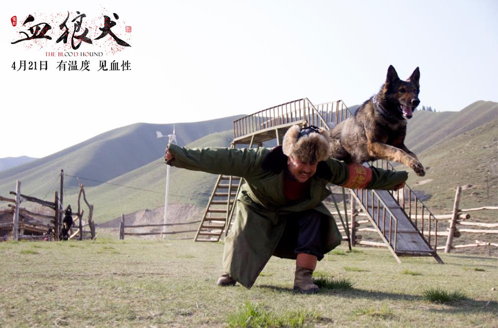 血狼犬免费观看完整版 血狼犬免费观看完整版电影