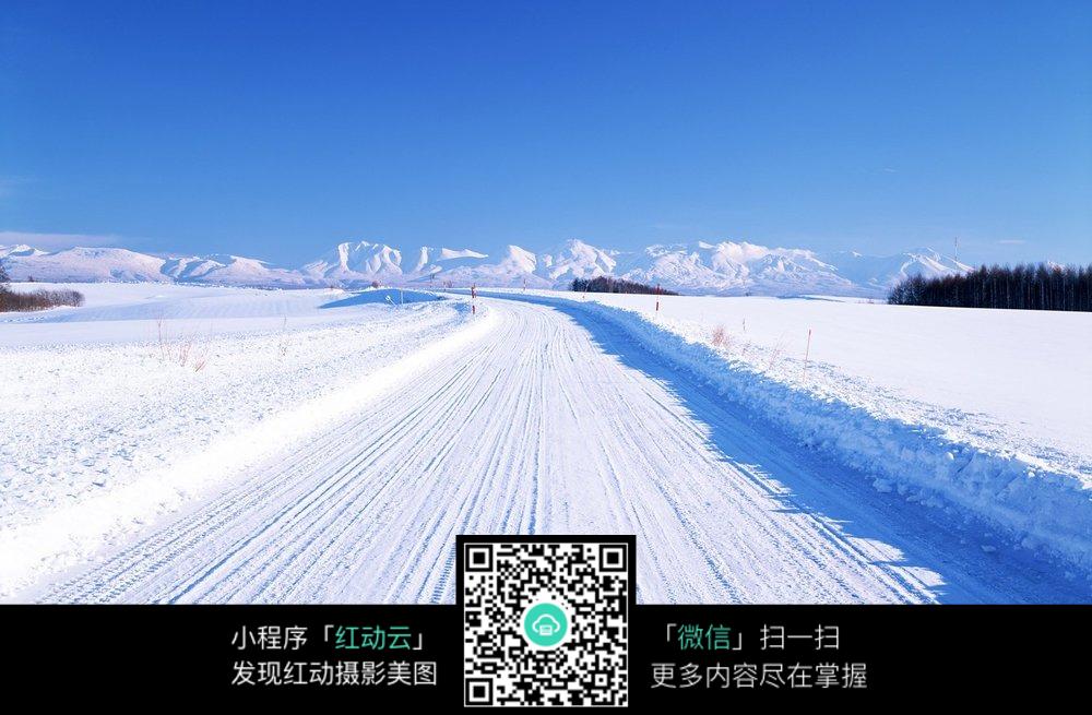 雪地巴迪免费观看 雪地巴迪 1080p